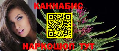 СК Шахты
